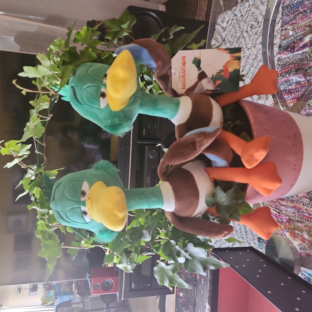 2 beautiful ducks toys